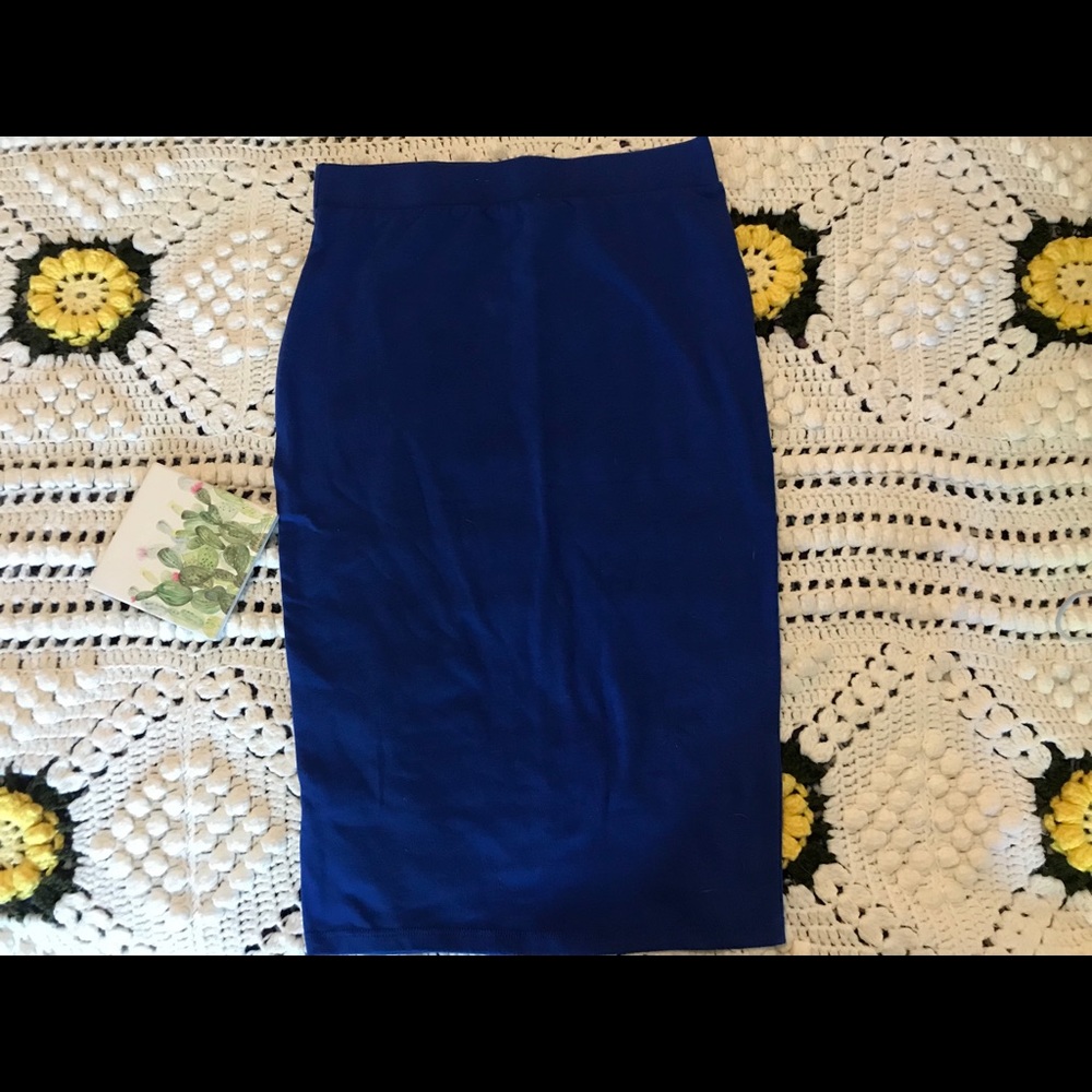 💥 [Heart & Hips] Pencil Skirt